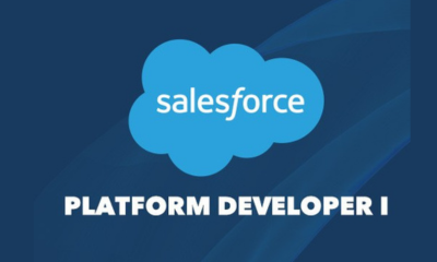 Salesforce Platform Developer 1 Certification Training